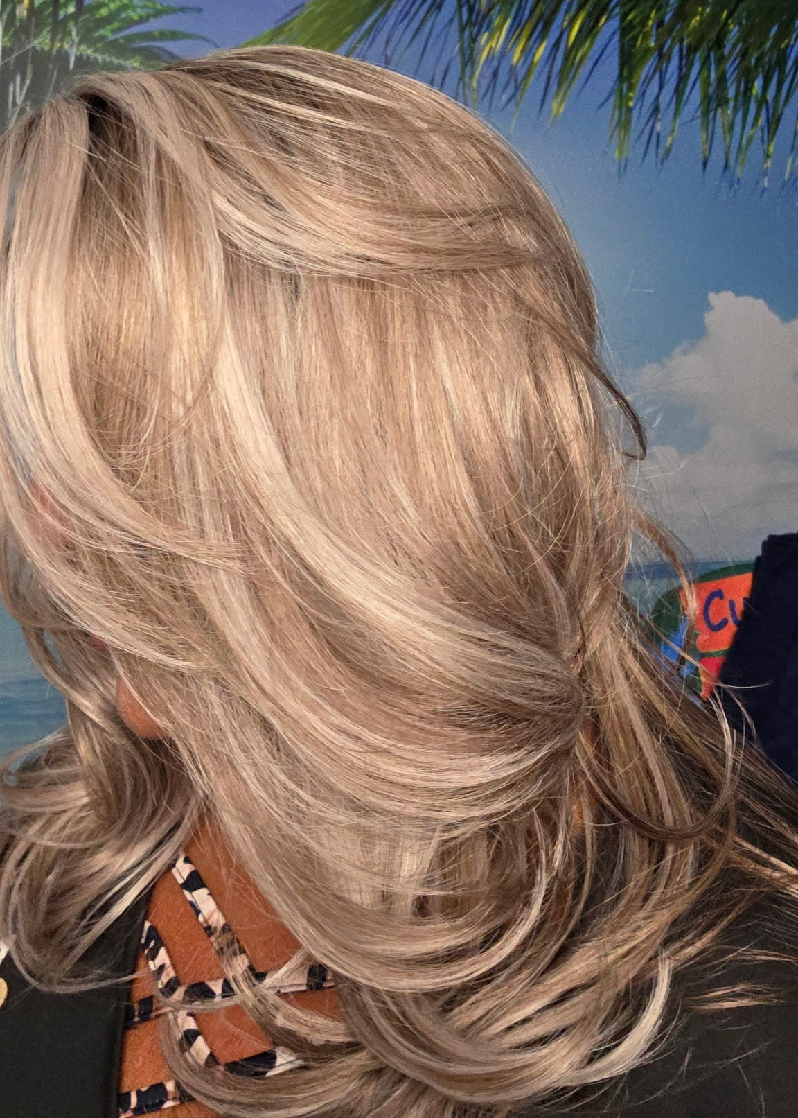 CARKIRA HeatherJoy in the Cashmere Latte 18 Inch 13x4 Luxury Lace Synthetic Wig Glueless Natural Hairline Heat-Friendly