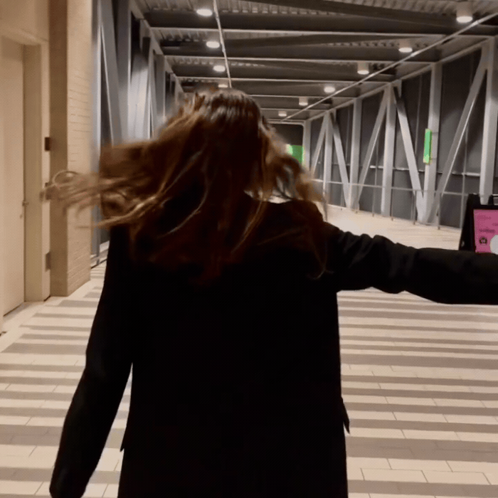 Watermelon Mix - 3-Pack Vibrant Buckle Scrunchies Bundle - No Snagging, No Tangles