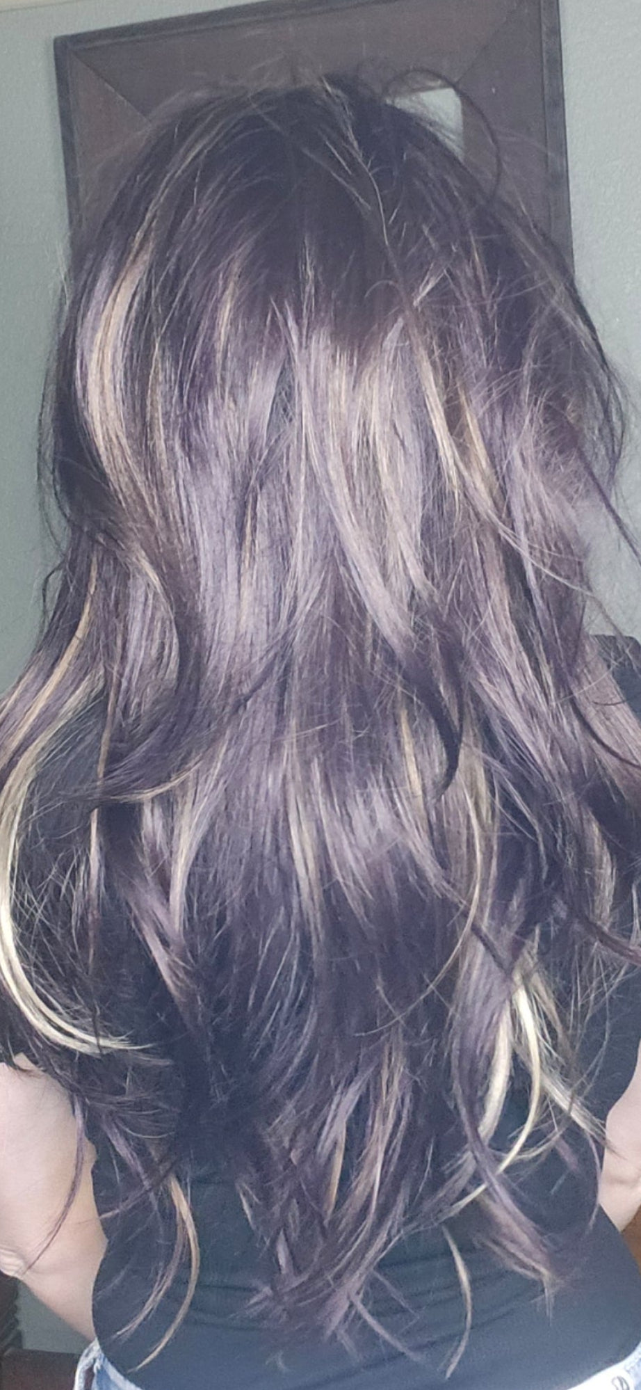 CARKIRA Natasha 22-24"  Aubergine with Burnished Bronze Highlights 13x4 Standard Cap