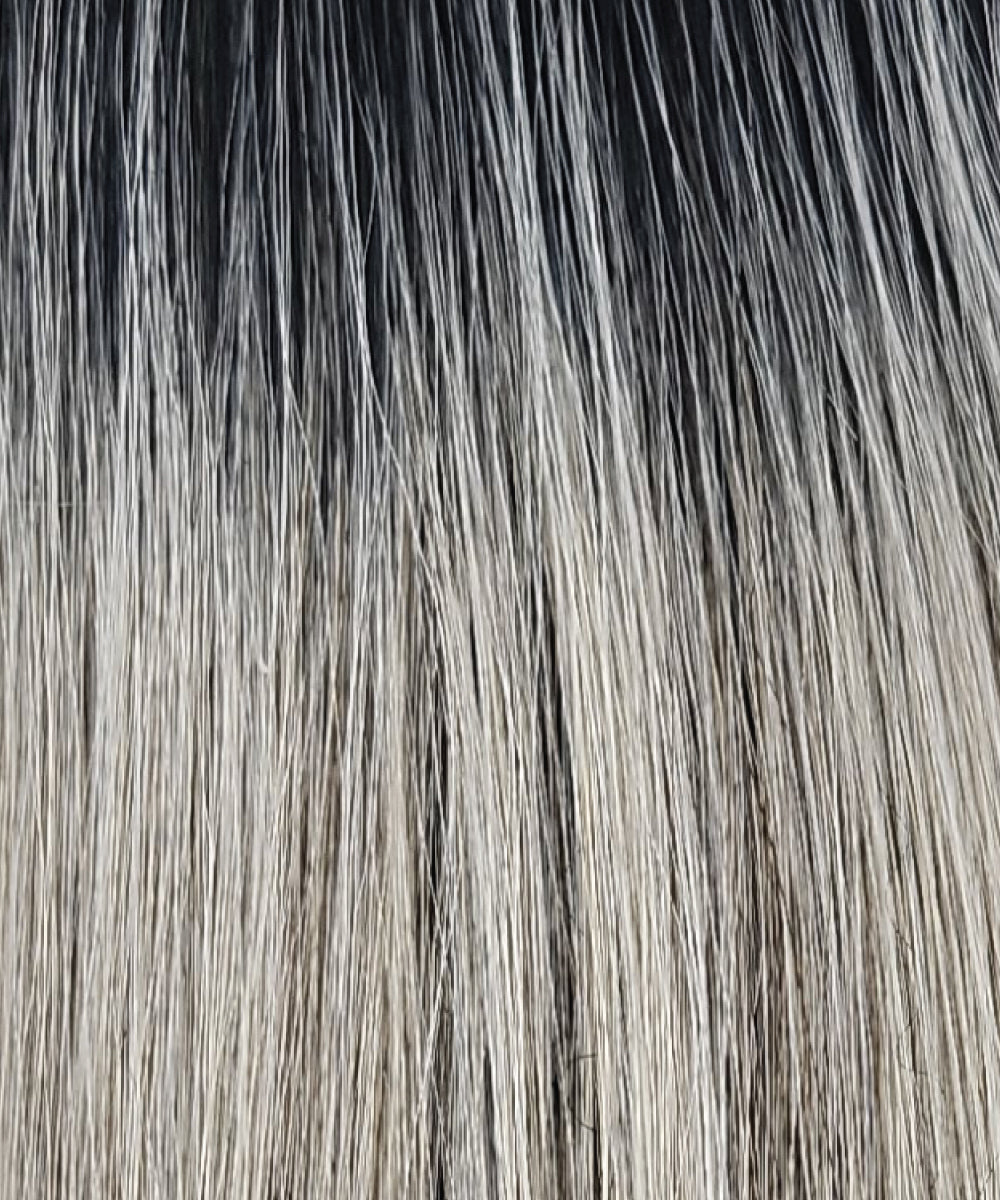 Brighton – Estetica - Heat Defiant Collection