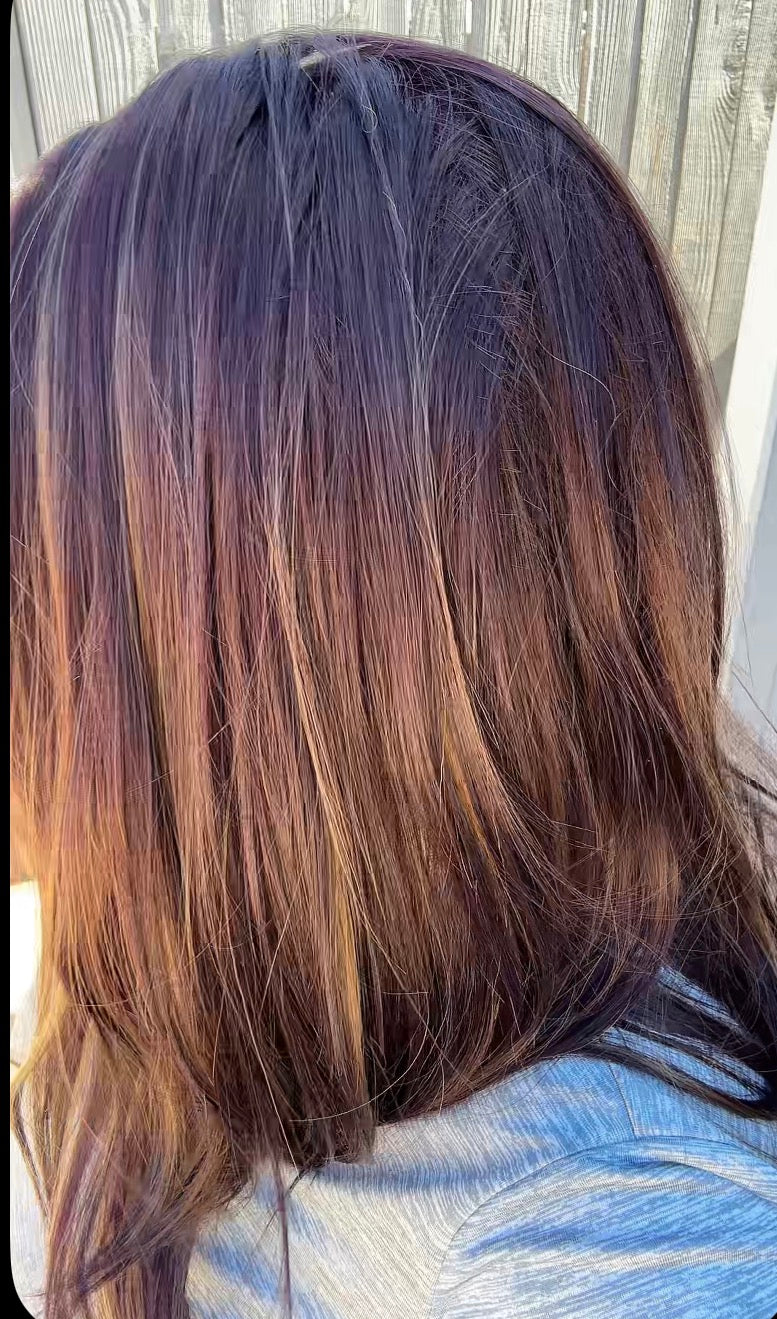 CARKIRA Natasha 22-24"  Aubergine with Burnished Bronze Highlights 13x4 Standard Cap