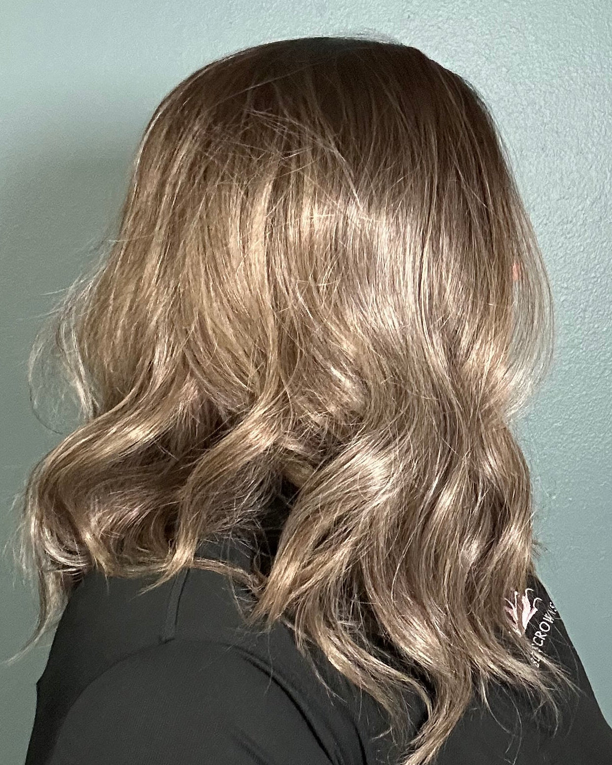 CARKIRA Mari 16" in the Smoky Sable 13x4 Lace Front Wig Standard