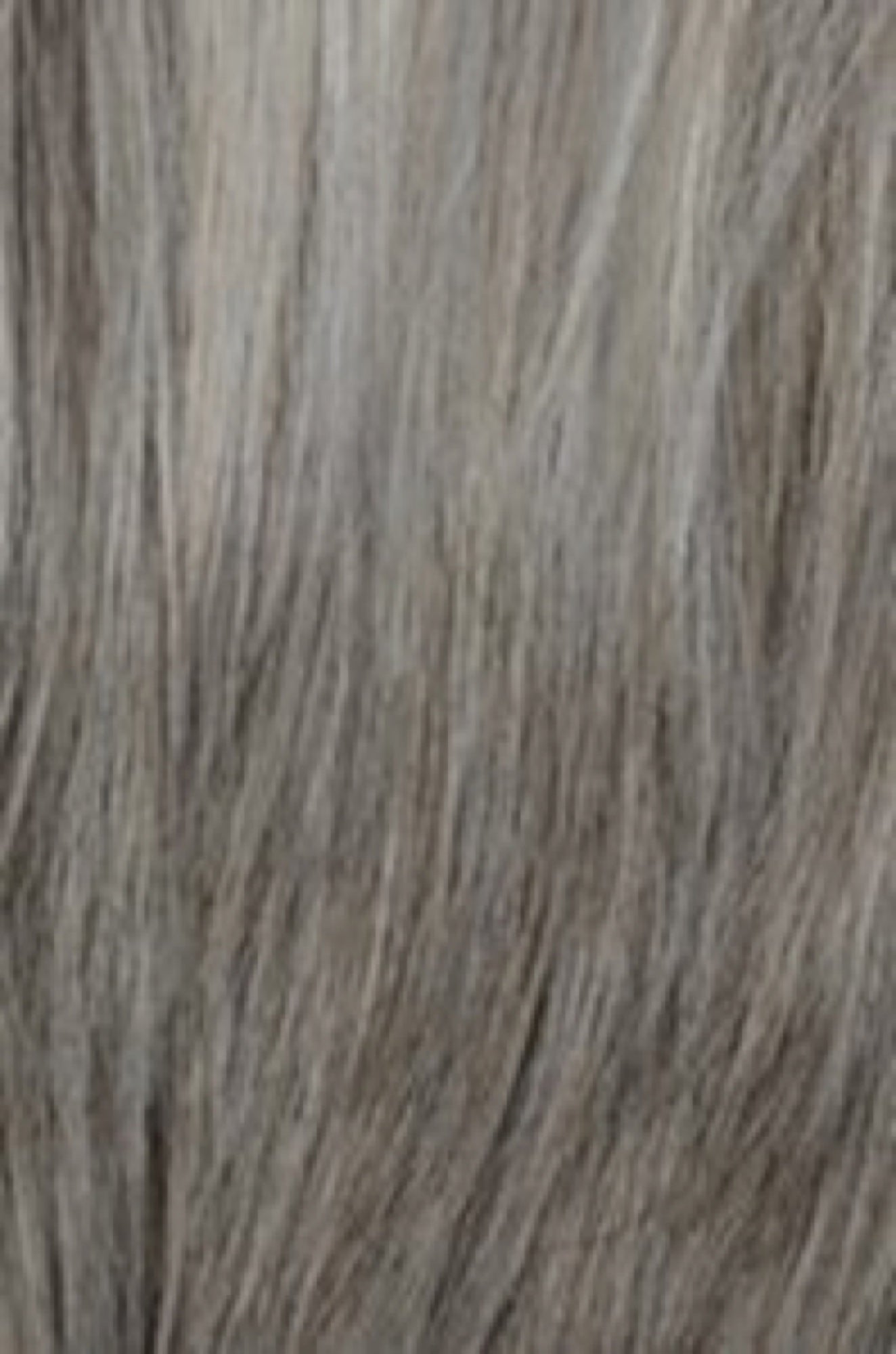Leoni - Silver Frost