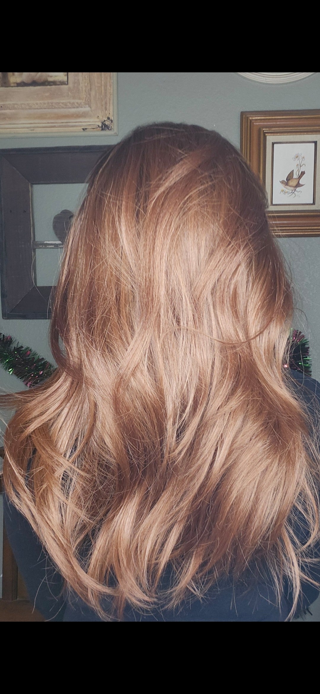 CARKIRA Katie 13x4 Lace Front Wig with Medium Cap Unisex Heat Friendly Up to 320°F Natural Looking Soft Smooth Realistic Scalp Hairline